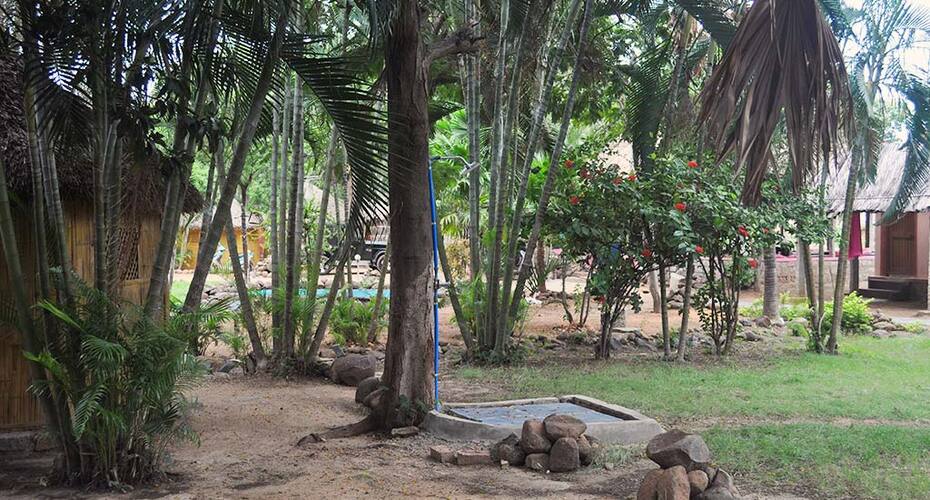 The Gopi Island Guesthouse, Hampi 5